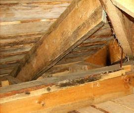 строительство утепленных домов - модель 2