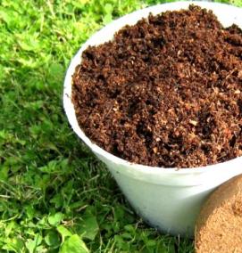 субстрат для грибов - тип 1