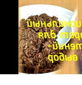 субстрат для грибов - тип 2