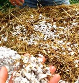 субстрат для вешенки - вариант 1