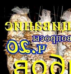 субстрат для вешенки - вариант 2