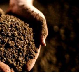 субстрат из торфа - модель 2