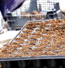 субстрат - модель 3