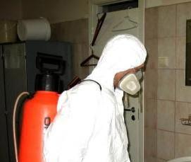 сухая дезинсекция - модель 4