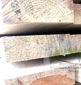 сухая доска камерной сушки - вариант 1