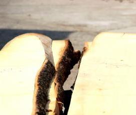 сухая доска Орех - тип 3