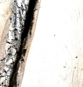 сухая доска Ясень - тип 2