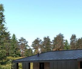 сваи 108х2500 - модель 4