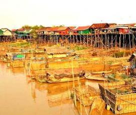 сваи 9 метров - тип 1