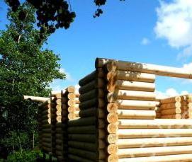 сваи из бревна - вариант 2