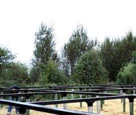 сваи на болоте - вариант 3