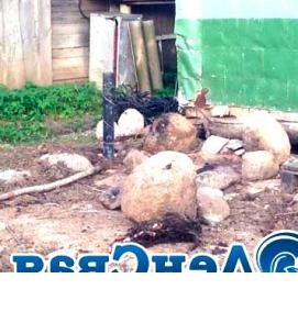 сваи под хозблок - модель 4