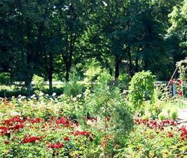 сваи с35 - модель 2