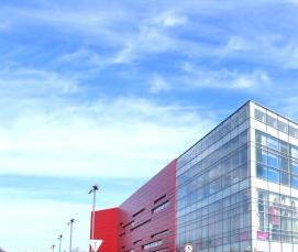 сваи с80 30 9 - вариант 2