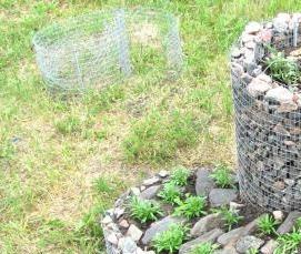 сварная сетка 6 на 6 см 0.8 мм - вариант 4