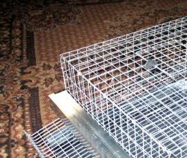 сварная сетка для птиц - тип 2