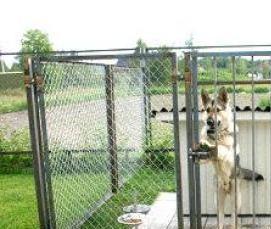 сварная сетка для вольера для собак - модель 4