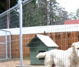 сварная сетка для вольера для собак - модель 3