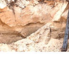 свая 25 - тип 1