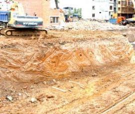 свая 25 - тип 2