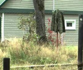 свая винтовая 76х1500 - вариант 2