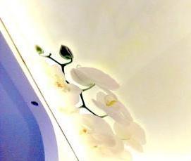 светопрозрачный натяжной потолок - тип 1