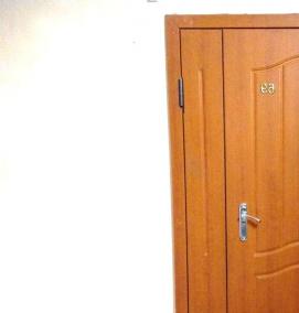 тамбурные двери - тип 1