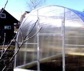 технические теплицы - модель 1