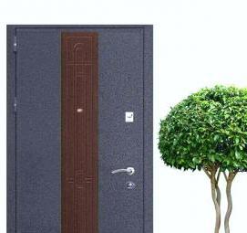 технические железные двери - вариант 1