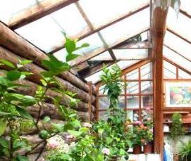 теплиц земляная - вариант 1