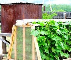 теплица из пластикового оконного профиля - модель 4