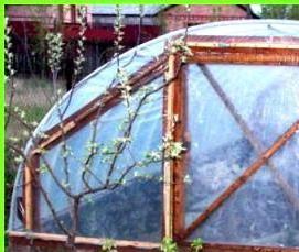 теплица из полипропиленовых труб - модель 1