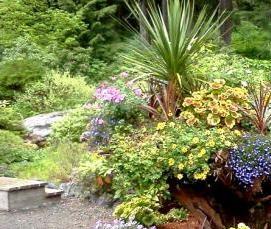 теплица из стволов деревьев - тип 2