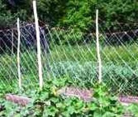 теплица из железной сетки - тип 4