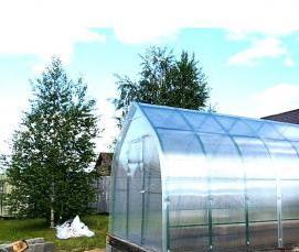 теплица капелька - вариант 4