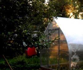 теплица капля - тип 1