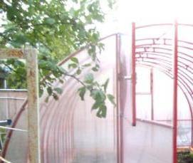 теплица кремлевская усиленная люкс - тип 4