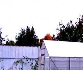 теплица металлическая - тип 4