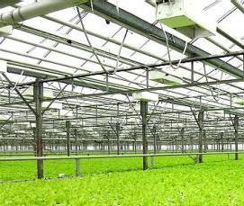 теплица московская - тип 2