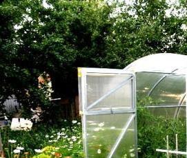 теплица народная - вариант 4