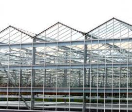 теплица областная - модель 2