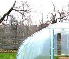 теплица пленочная фермерская - модель 1