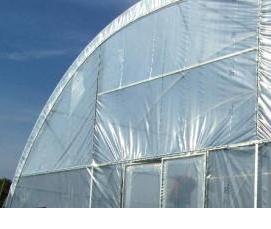 теплица промышленная зимняя - модель 1