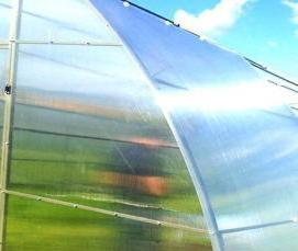 теплица промышленная зимняя - модель 2