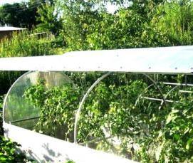 теплица сибирская мини - модель 2