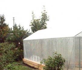 теплица солнечная - вариант 1