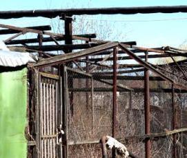 теплица советская - тип 1