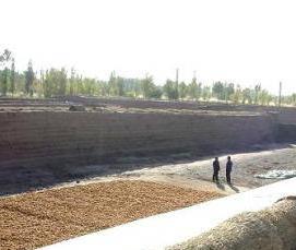 теплица советская - тип 3