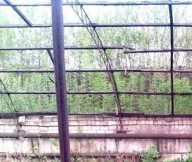 теплица советская - тип 2