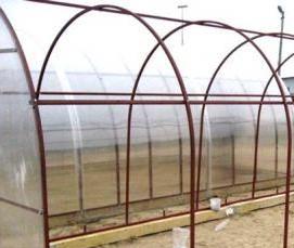 теплица теплая отапливаемая - модель 4